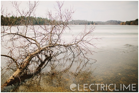 Electric_Lime_Photography_027