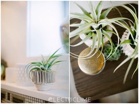 Minneapolis Florist | Electric Lime Photography